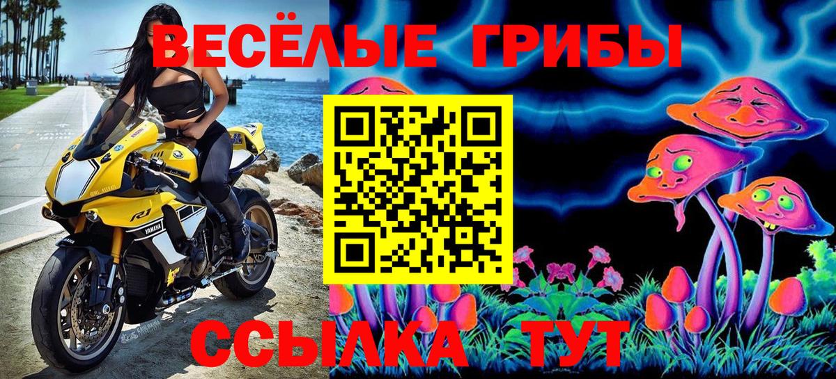 Псилоцибиновые грибы прущие грибы Зеленодольск